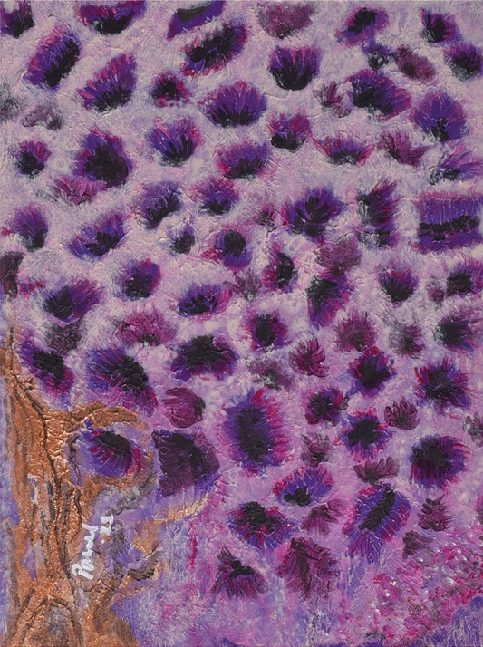 Anemones ( Patterns in Nature )