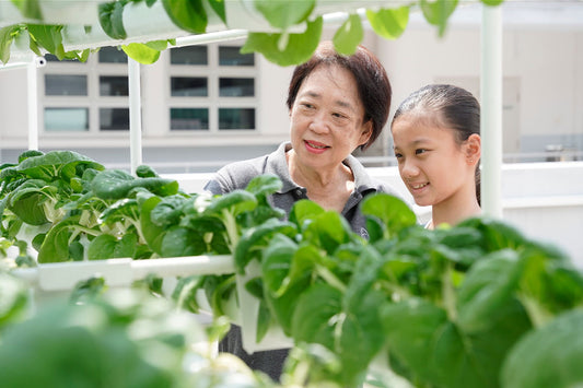 MGS INTER-GENERATIONAL FARMING