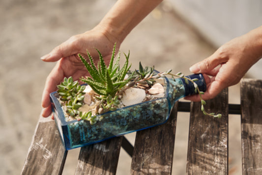 Upcycled Glass Bottle Terrarium Workshop by PLANTITUDE