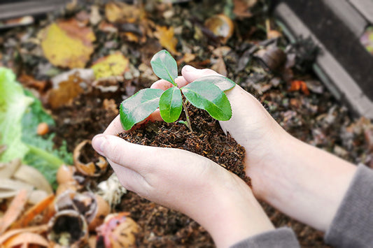 "COMPOST STEW" | COMPOSTING & PHONICS ADVENTURE