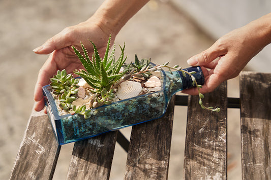 SUCCULENT HAVENS | UPCYCLED BOTTLE PLANTER