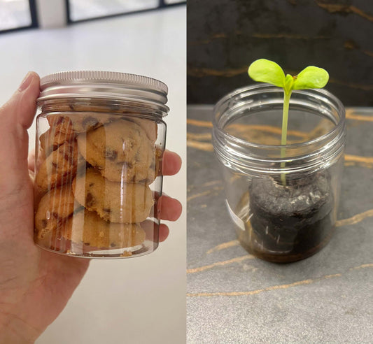 Cookie Planters